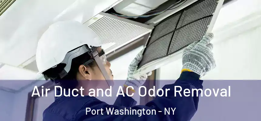  Air Duct and AC Odor Removal Port Washington - NY