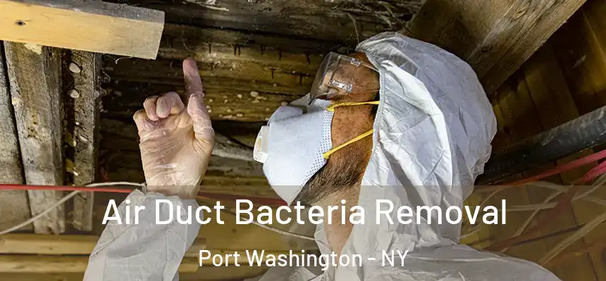  Air Duct Bacteria Removal Port Washington - NY