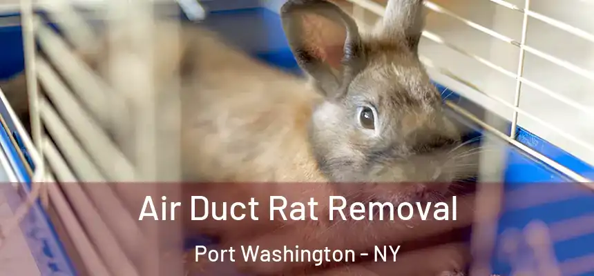  Air Duct Rat Removal Port Washington - NY