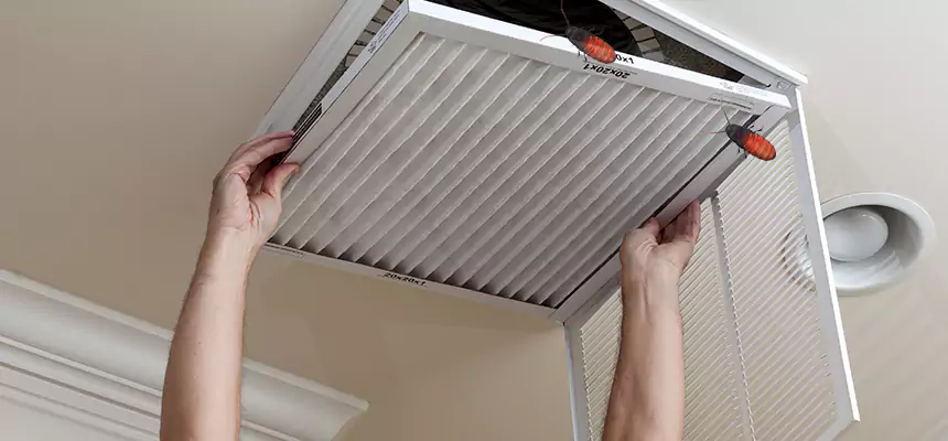 Preventive Cockroach-Proofing for Ducts in Port Washington