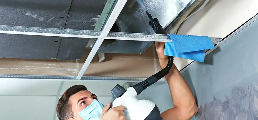Our Air Duct Rodent Removal Services in Port Washington, NY