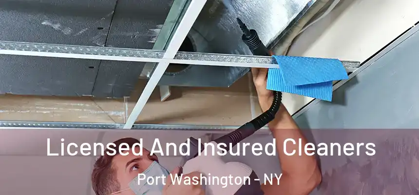 Licensed And Insured Cleaners Port Washington - NY