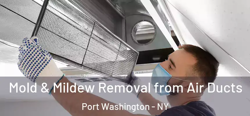 Mold & Mildew Removal from Air Ducts Port Washington - NY