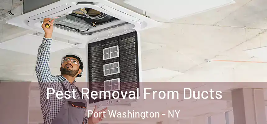 Pest Removal From Ducts Port Washington - NY
