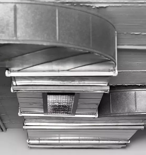 Professional Air Duct Pet Hair Removal in Port Washington, NY