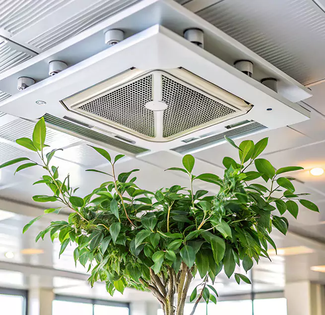 Why Homeowners & Businesses Trust Us in Port Washington, NY